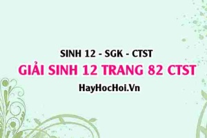 Giải Sinh 12 trang 82 Chân trời sáng tạo SGK